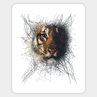 Digital Art - Bengal Tiger Magnet